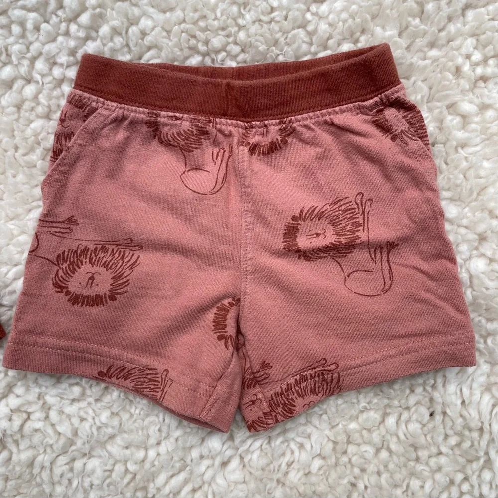 Carters Short Set - Picture 4 of 6